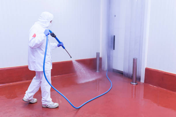 Best Machinery and Equipment Cleaning  in Town N Country, FL